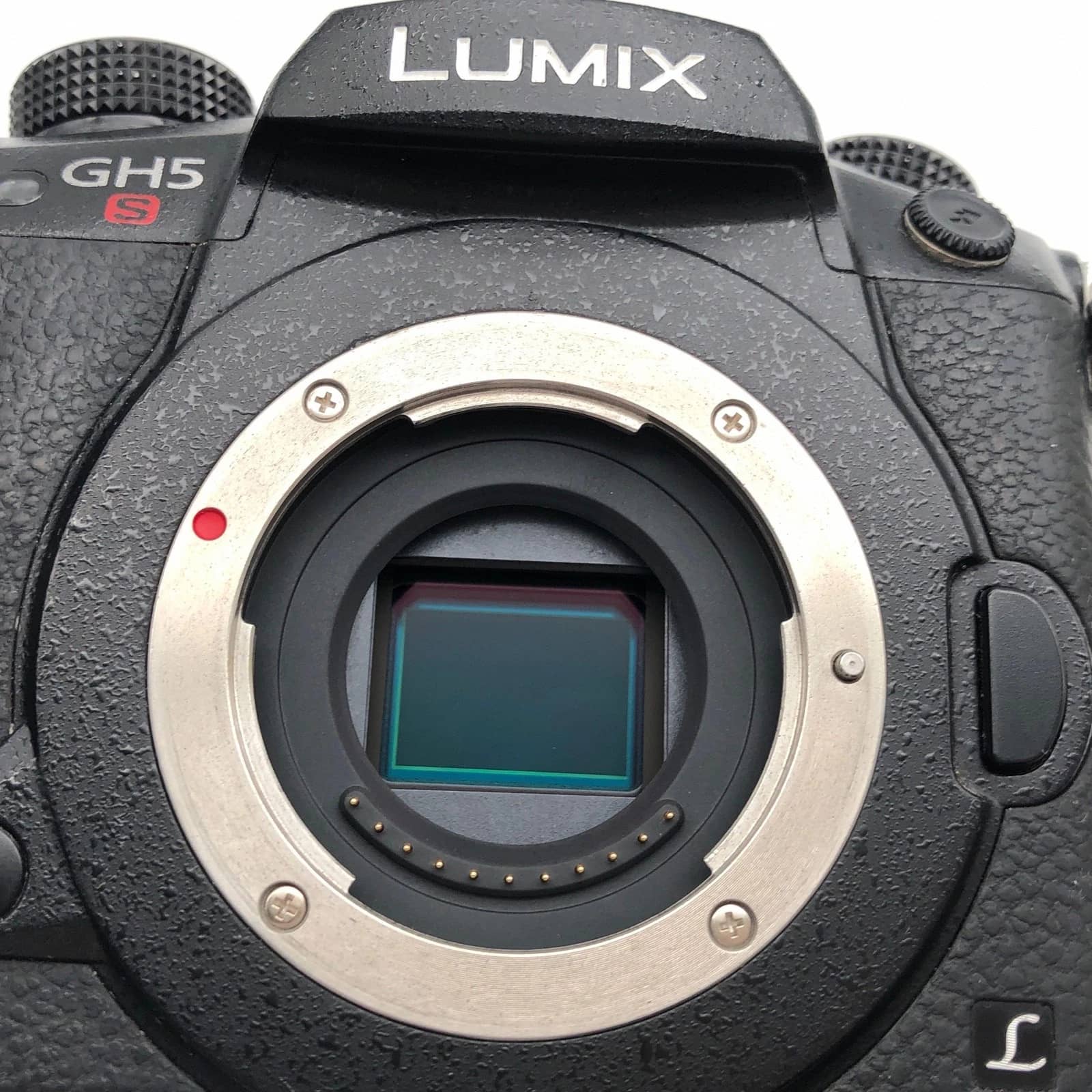 Panasonic Lumix DC-GH5S Digital Cameras Black Body Only New