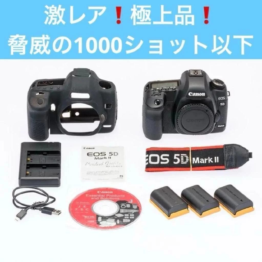 Canon 5D Mark II Digital Cameras Black Used - Good
