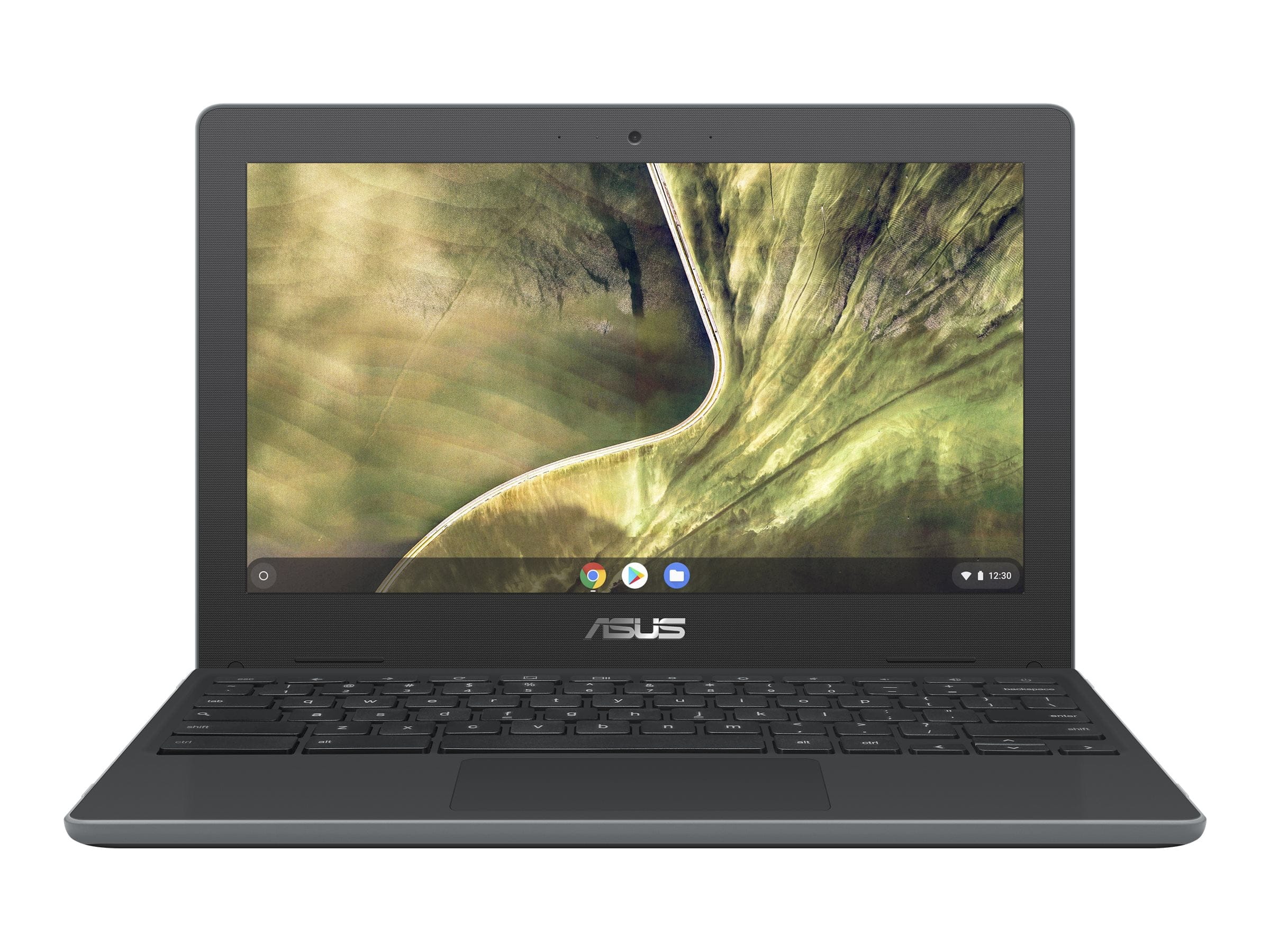 ASUS Chromebook C204MA Computers