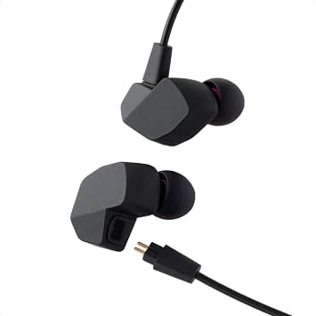 Final A3000 Headphones & Earbuds Black New