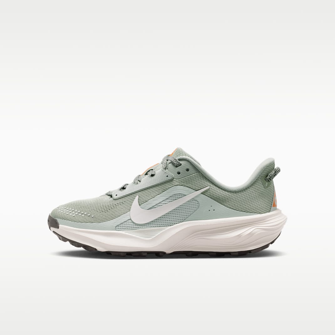Nike ACG Pegasus Trail Sneaker Blue 3 New