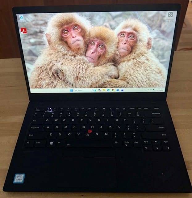 Lenovo ThinkPad X1 Carbon Gen 7 Computers 1TB 16GB Used - Good